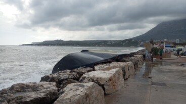 Retirada del velero eléctrico volcado en el puerto de Dénia (33)