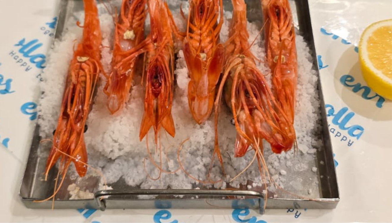 Variedad de gamba fresca en Mediterrasian