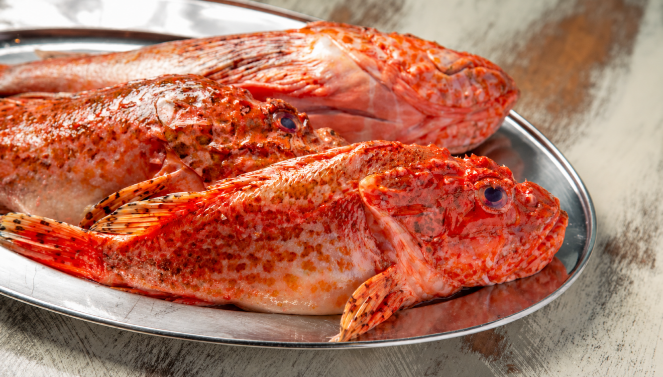 Variedades de pescado