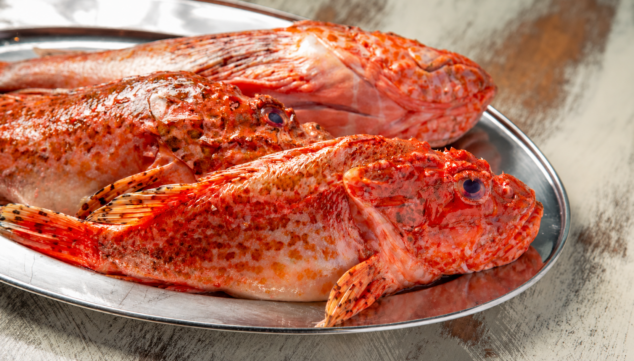 ¿Qué marisco y pescado degustar este otoño en Dénia? 20 Imagen: Variedades de pescado