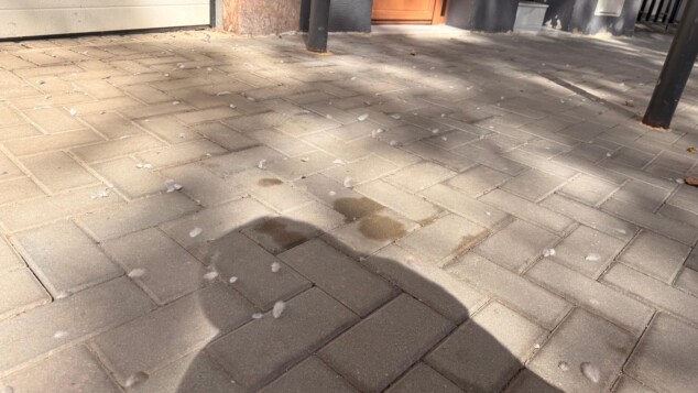 Imagen: Plumas blancas y grises esparcidas por el pavimento de una calle del centro de Dénia.