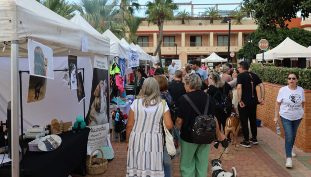 Mascotas, piratas y solidaridad: así fue la gran fiesta de Dénia 1 Imagen: XV Festival Mascotetes